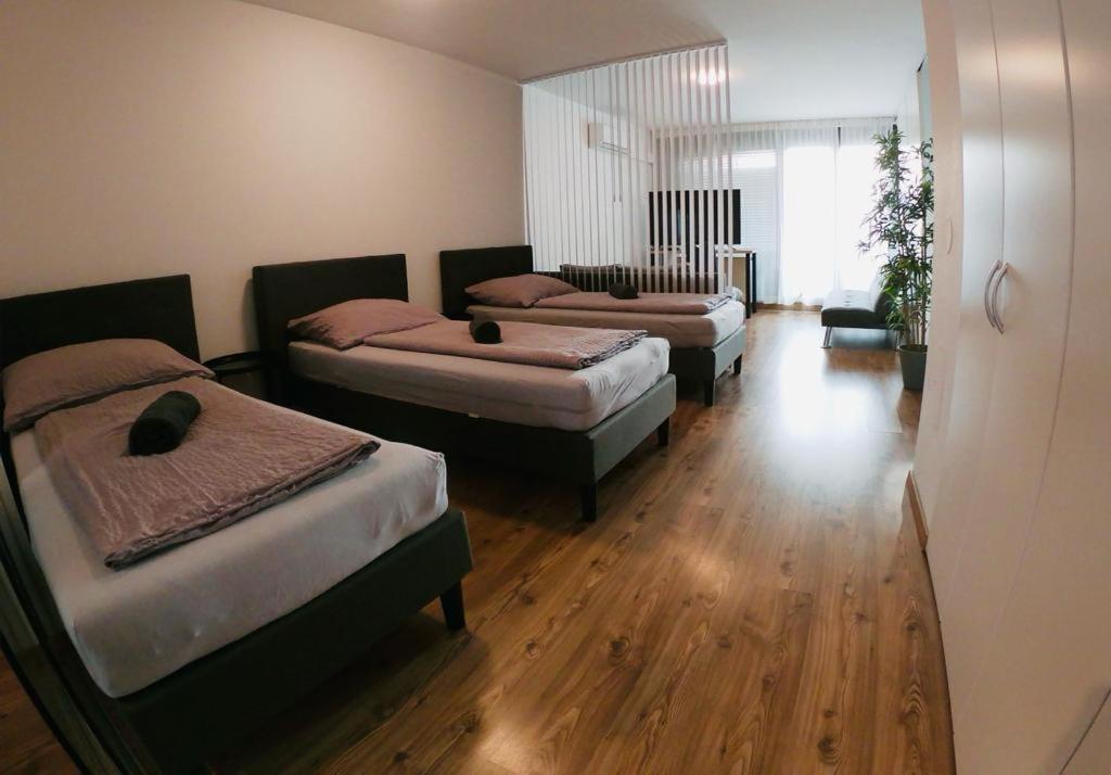Aspern Nationalpark Apartment Bécs Kültér fotó
